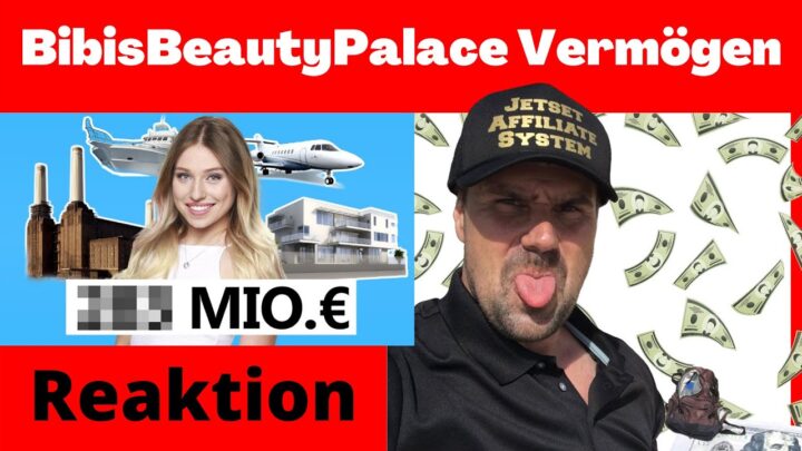 Bibis Beauty Palace Vermögen - Das geheime Vermögen von BibisBeautyPalace [Michael Reagiertauf]